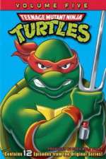Watch Teenage Mutant Ninja Turtles 0123movies