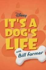 Watch It\'s a Dog\'s Life with Bill Farmer 0123movies