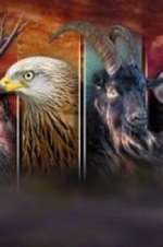 Watch Wales: Land of the Wild 0123movies