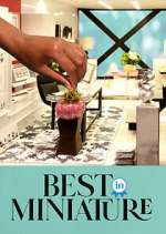 Watch Best in Miniature 0123movies