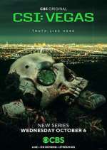 Watch CSI: Vegas 0123movies