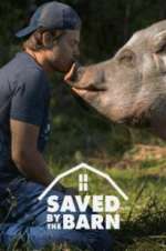 Watch Saved by the Barn 0123movies