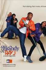 Watch Brandy and Ray J: A Family Business 0123movies