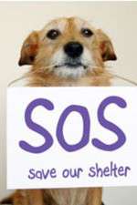 Watch Save Our Shelter 0123movies