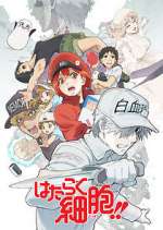 Watch Cells at Work! 0123movies