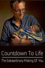 Watch Countdown to Life The Extraordinary Making of You 0123movies