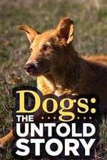 Watch Dogs: The Untold Story 0123movies