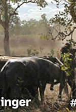 Watch Outback Ringer 0123movies