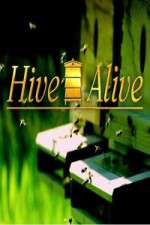 Watch Hive Alive 0123movies