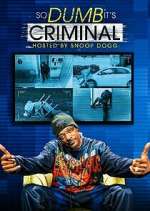 Watch So Dumb It's Criminal 0123movies