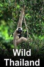 Watch Wild Thailand 0123movies