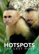 Watch Hotspots: The Last Hope 0123movies