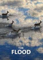 Watch The Flood 0123movies
