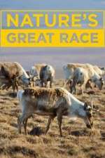 Watch Nature's Great Race 0123movies