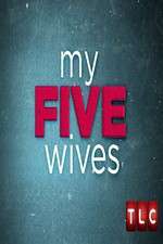 Watch My Five Wives 0123movies