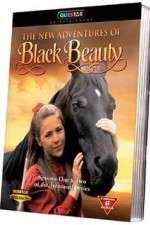 Watch The New Adventures of Black Beauty 0123movies