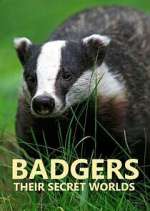 Watch Badgers: Their Secret Worlds 0123movies