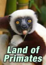 Watch Land of Primates 0123movies