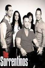 Watch The Sorrentinos 0123movies