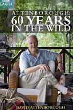 Watch Attenborough 60 Years in the Wild 0123movies