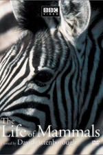 Watch The Life of Mammals 0123movies