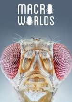 Watch Macro Worlds 0123movies