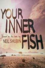 Watch Your Inner Fish 0123movies