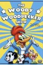 Watch The Woody Woodpecker Show 0123movies