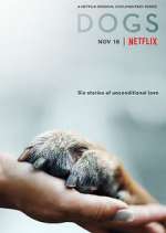 Watch Dogs 0123movies
