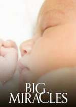 Watch Big Miracles 0123movies