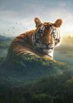 Watch Asia 0123movies