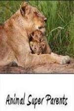 Watch Animal Super Parents 0123movies