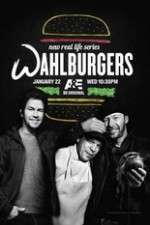 Watch Wahlburgers 0123movies