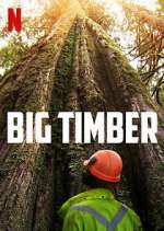 Watch Big Timber 0123movies