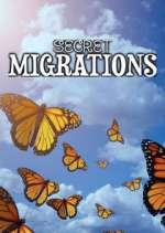 Watch Secret Migrations 0123movies