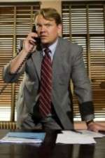Watch Andy Barker, P.I. 0123movies