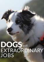 Watch Dogs with Extraordinary Jobs 0123movies