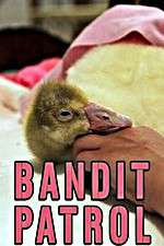 Watch Bandit Patrol 0123movies