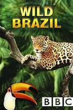 Watch Wild Brazil 0123movies