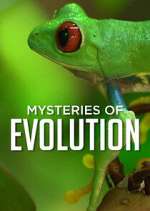 Watch Mysteries of Evolution 0123movies