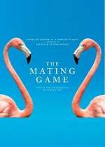 Watch The Mating Game 0123movies