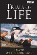 Watch The Trials of Life 0123movies