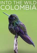 Watch Into the Wild Colombia 0123movies