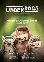 Watch Underdogs 0123movies