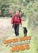 Watch Super Dogs with Extraordinary Jobs 0123movies