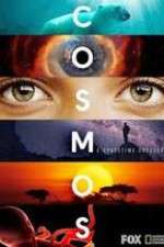 Watch Cosmos A SpaceTime Odyssey 0123movies