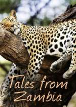 Watch Tales from Zambia 0123movies