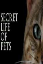 Watch The Secret Life of Pets 0123movies