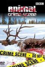 Watch Animal Crime Scene 0123movies