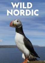 Watch Wild Nordic 0123movies